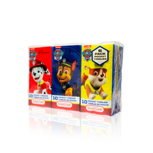 Load image into Gallery viewer, Paw Patrol Pocket Tissue (6 Pack)