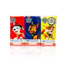 Load image into Gallery viewer, Paw Patrol Pocket Tissue (6 Pack)