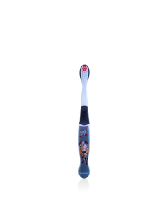 WWE Randy Orton Toothbrush
